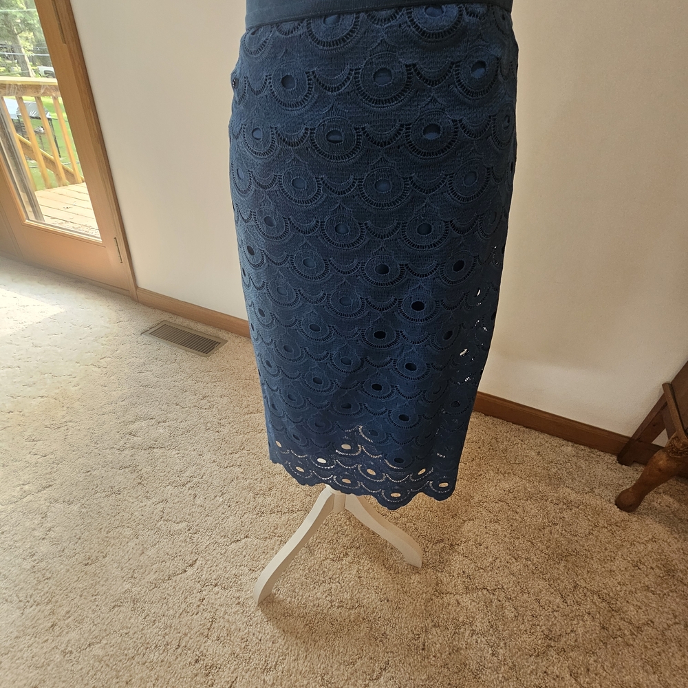 Ann Taylor Blue Lace Midi Skirt